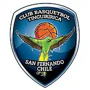 Tinguiririca San Fernando logo