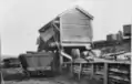 Tipping coal into hopper wagons at Waro, 1911