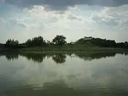 Lake Tisza