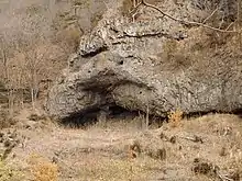 Tobayama Cave