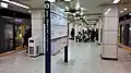 Tokyo Metro platforms in 2017