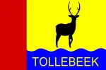 Flag of Tollebeek
