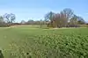 Tolworth Court Farm Fields