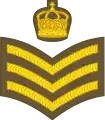 Staff sergeant(Tongan Land Component)