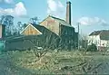 East Kent narrow-leaved elms above Tonge Mill, near Sittingbourne (1969)