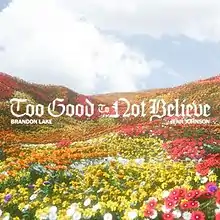 "Too Good to Not Believe (Radio Version)" Single Cover