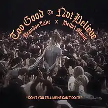 "Too Good to Not Believe" Single Cover