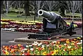 Memorial Cannon - Queens Park Botanic Gardens 2014