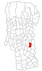 Location in Argeș County