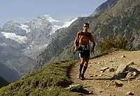 Tor des Géants runners with the Gran Paradiso in background