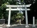 Torii of Miho shrine