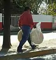 Toasted tortillas are used for making tlayudas being sold by a street vendor in Oaxaca