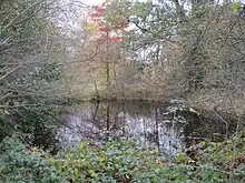 Pink Cottage Pond on Totteridge Common