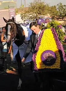 Tourist after the Breeders' Cup Mile