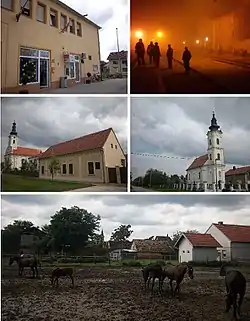 Clockwise, from top right: Tovarnik railway station, Church of St. George, Tovarnik, stable, Church of Saint Matthew, Tovarnik and Municipal building