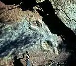 Giant dinosaur tracks, in a muddy sediment on top of a metric regressive cycle. Middle liassic, High Atlas, Morocco.