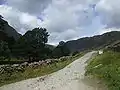 The Track up to Harter Fell, the River Sprint runs down the valley to the left of the track