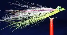 Clouser Deep Minnow – A popular streamer pattern used for both fresh and saltwater fishing