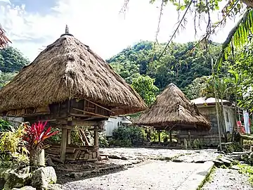 The raised bale houses of the Ifugao people with capped house posts