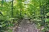 Hill Road at the Cumberland Plateau