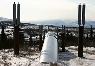 Heat pipes in vertical supports maintain a frozen bulb around portions of the Trans-Alaska Pipeline that are at risk of thawing.
