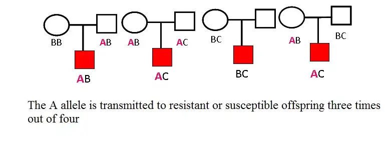 Fundamental Principle of Transmission Disequilibrium test in Trios