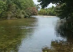 The Travo at its mouth, looking upstream