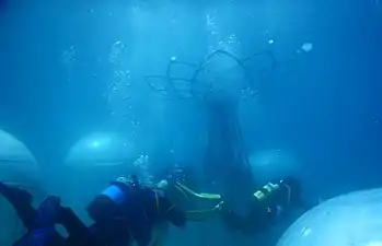 Divers entering a biosphere