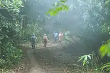Trekking route in Dinh Hills in the mist weather