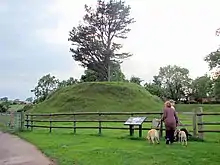 Tump Terrett Castle Mound, Trellech