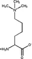 Trimethylated: (6-N,6-N,6-N)trimethyllysine