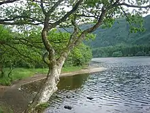 A loch in the Trossachs