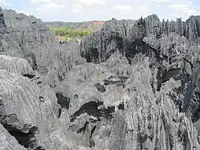A complex, heavily eroded dark grey limestone rock formation.