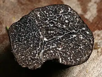 Black Périgord truffle