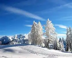 Pribrezhny Range, Tuguro-Chumikansky District