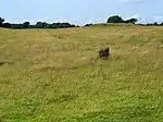 Round barrow on Beacon Hill