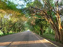 Section of the Jalapa-Villahermosa highway