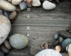 Cretaceous turbidite showing Bouma A-D layers. Pigeon Point Formation, Pescadero Beach, California.