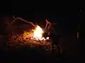 Turkana men roasting a goat as part of a communal dinner.