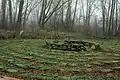 The Turtle Peace Labyrinth at the Teaneck Creek Conservancy, Ariane Burgess