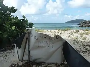 Turtle nesting site, Mandahl Bay