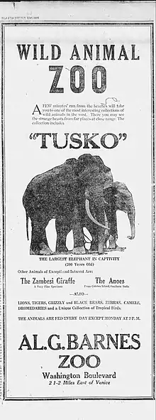 Tusko the elephant 1925