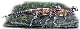 Life restoration of a pair of Tylocephale.