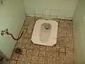 Typical toilet in urban Syria: Flush toilet squatting pan with hose on the left for anal cleansing.