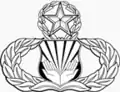 United States Air Force Chaplain Assistant Badge-Master