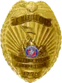 Military Police Corrections Badge