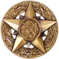 Chief Professional Officer Badge