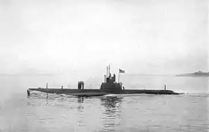 USS D-1