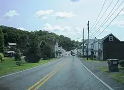 Photo of Branchdale along US 209