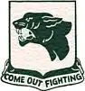 761st Tank Battalion"Come Out Fighting"